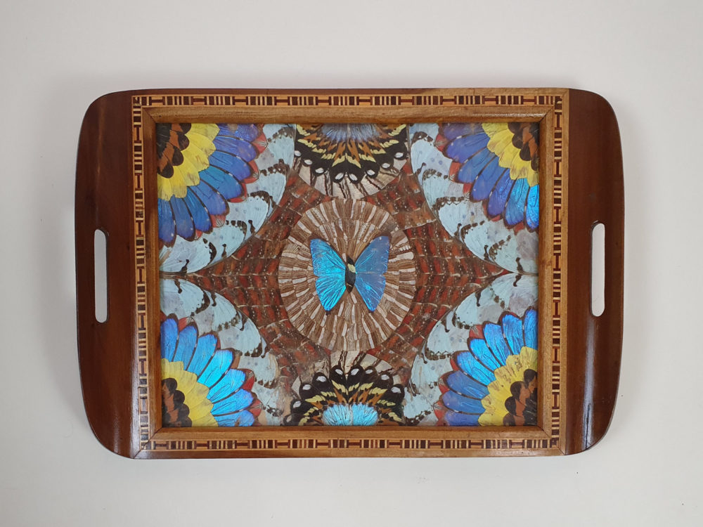 Decorative mid century antique Brazilian Butterfly Tray