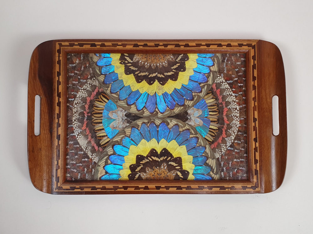 Decorative mid century antique Brazilian Butterfly Tray