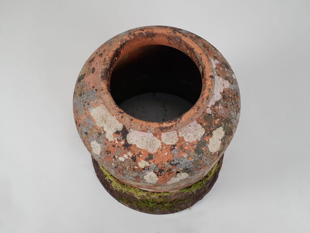 English 19th century garden antique bell shaped terracotta Rhubarb Forcer