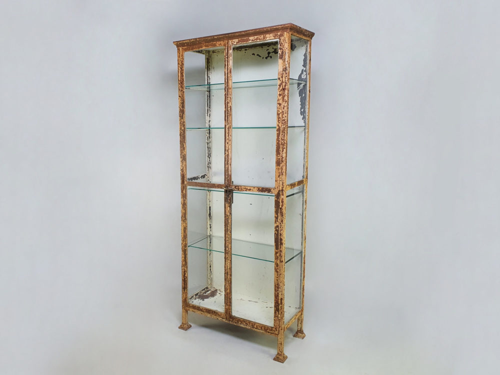 Exceptional late 19th century full height cast iron Medicine Cabinet