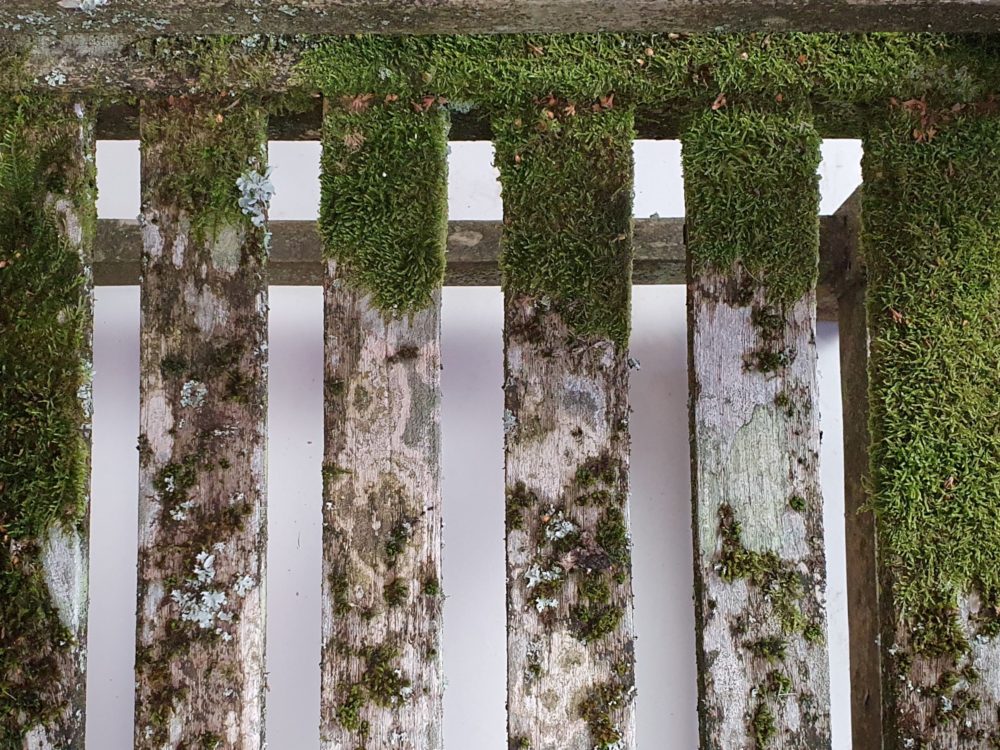 Mossy Lutyens inspired Garden Bench