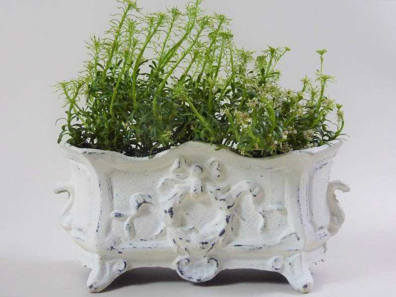 Petite Jardiniere