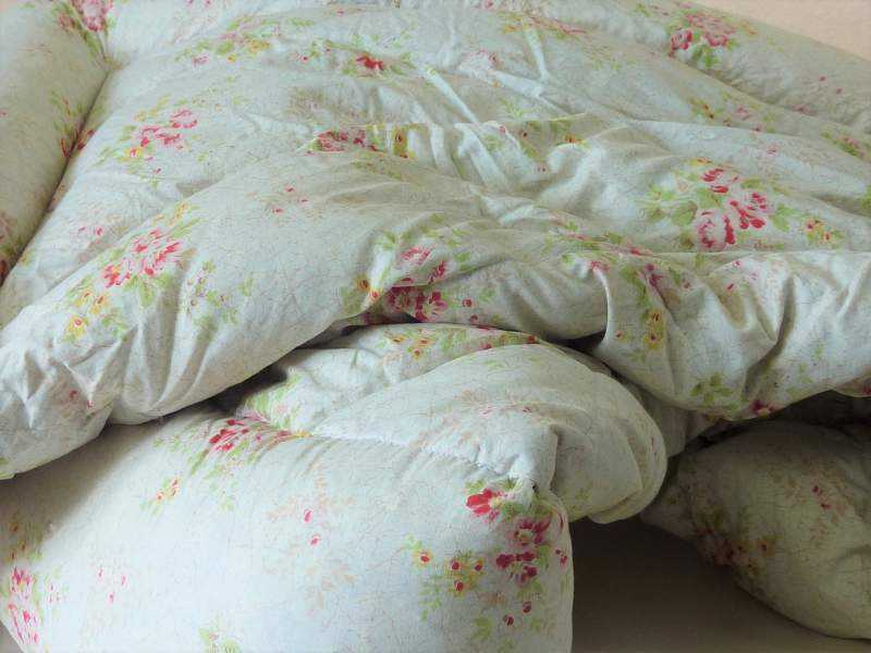 Eiderdown ~ Cotton, Paisley