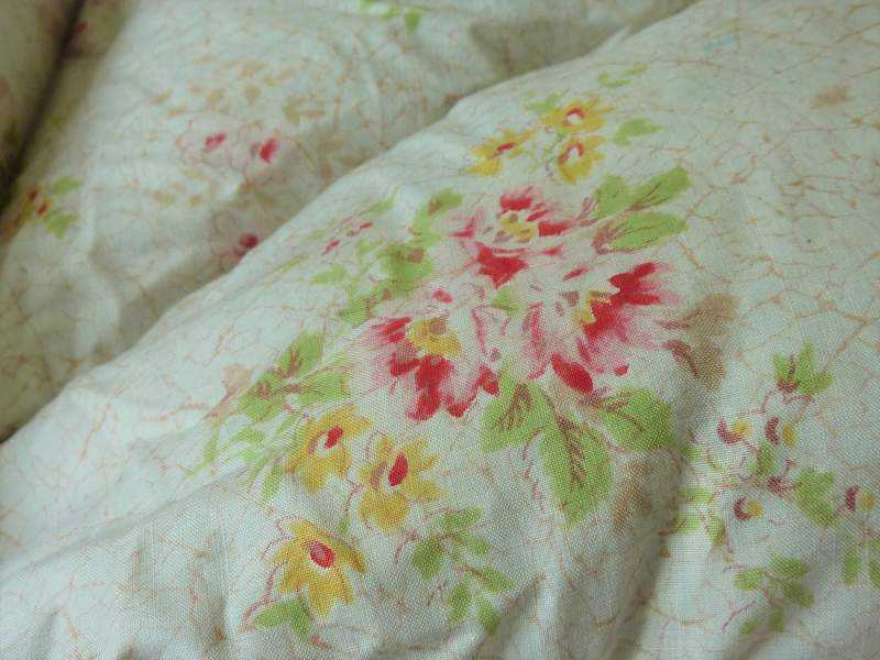 Eiderdown ~ Cotton, Paisley