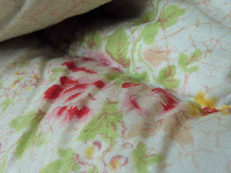 Eiderdown ~ Cotton, Paisley