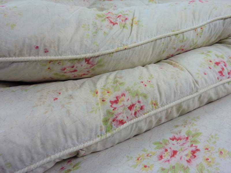 Eiderdown ~ Cotton, Paisley