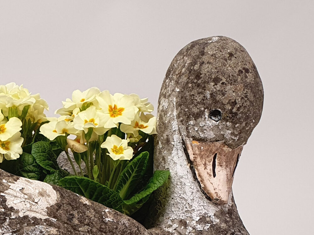 Swan antique Garden Planter and garden ornament