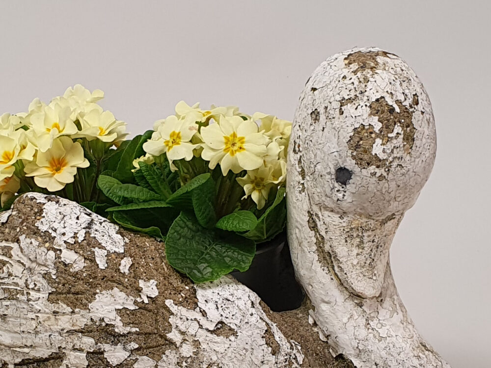 Swan antique Garden Planter and garden ornament