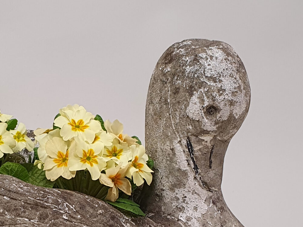 Swan antique Garden Planter and garden ornament