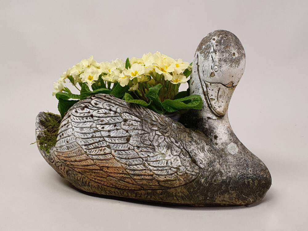Swan antique Garden Planter and garden ornament