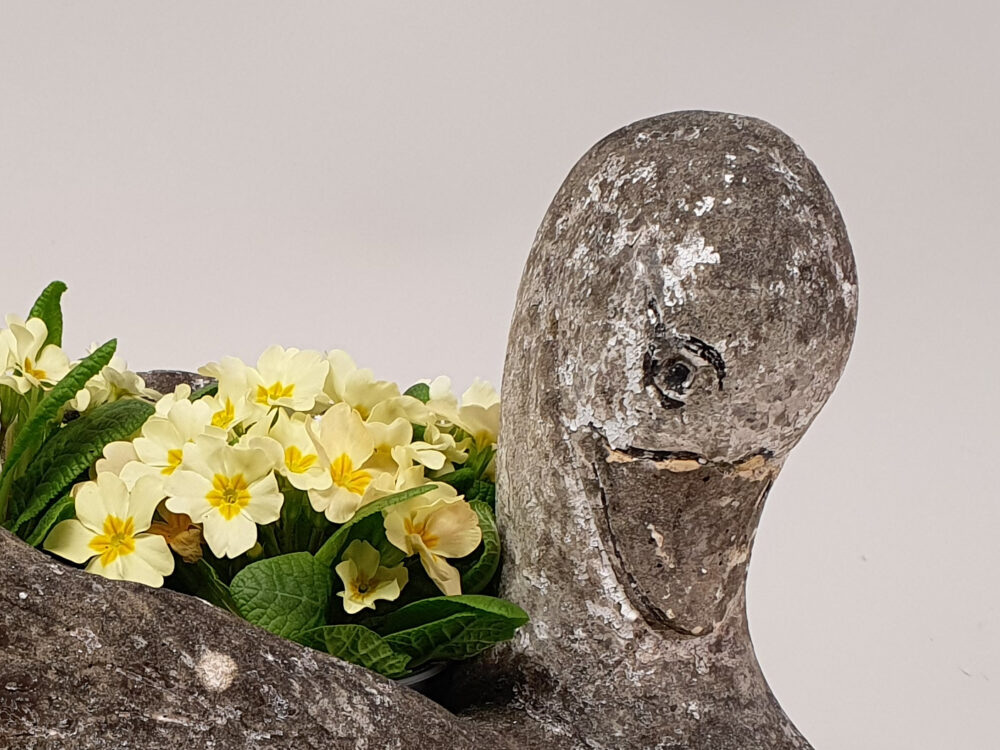 Swan antique Garden Planter and garden ornament
