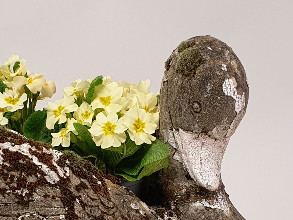 Swan antique Garden Planter and garden ornament