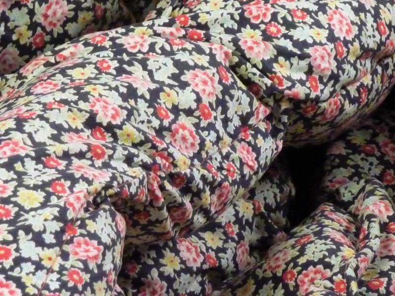 Eiderdown ~ Cotton, Paisley