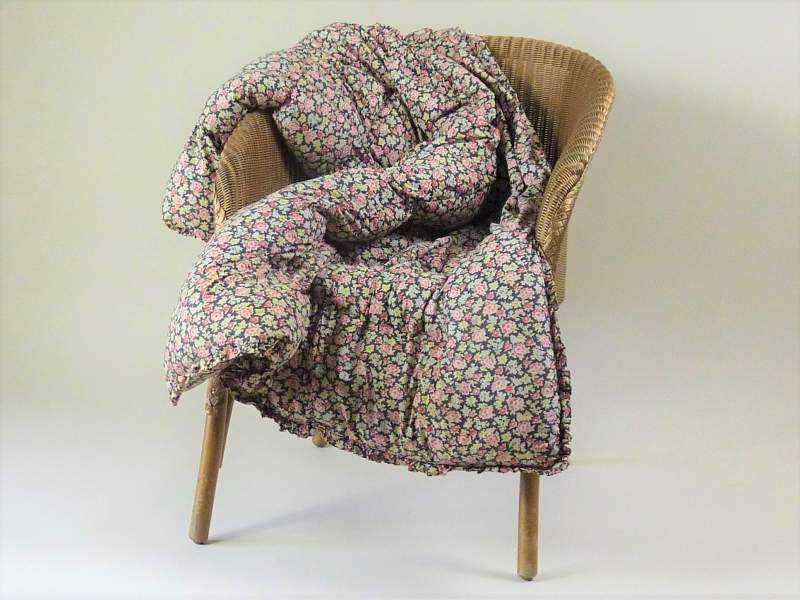 Eiderdown ~ Cotton, Paisley