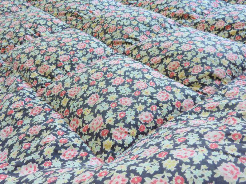 Eiderdown ~ Cotton, Paisley