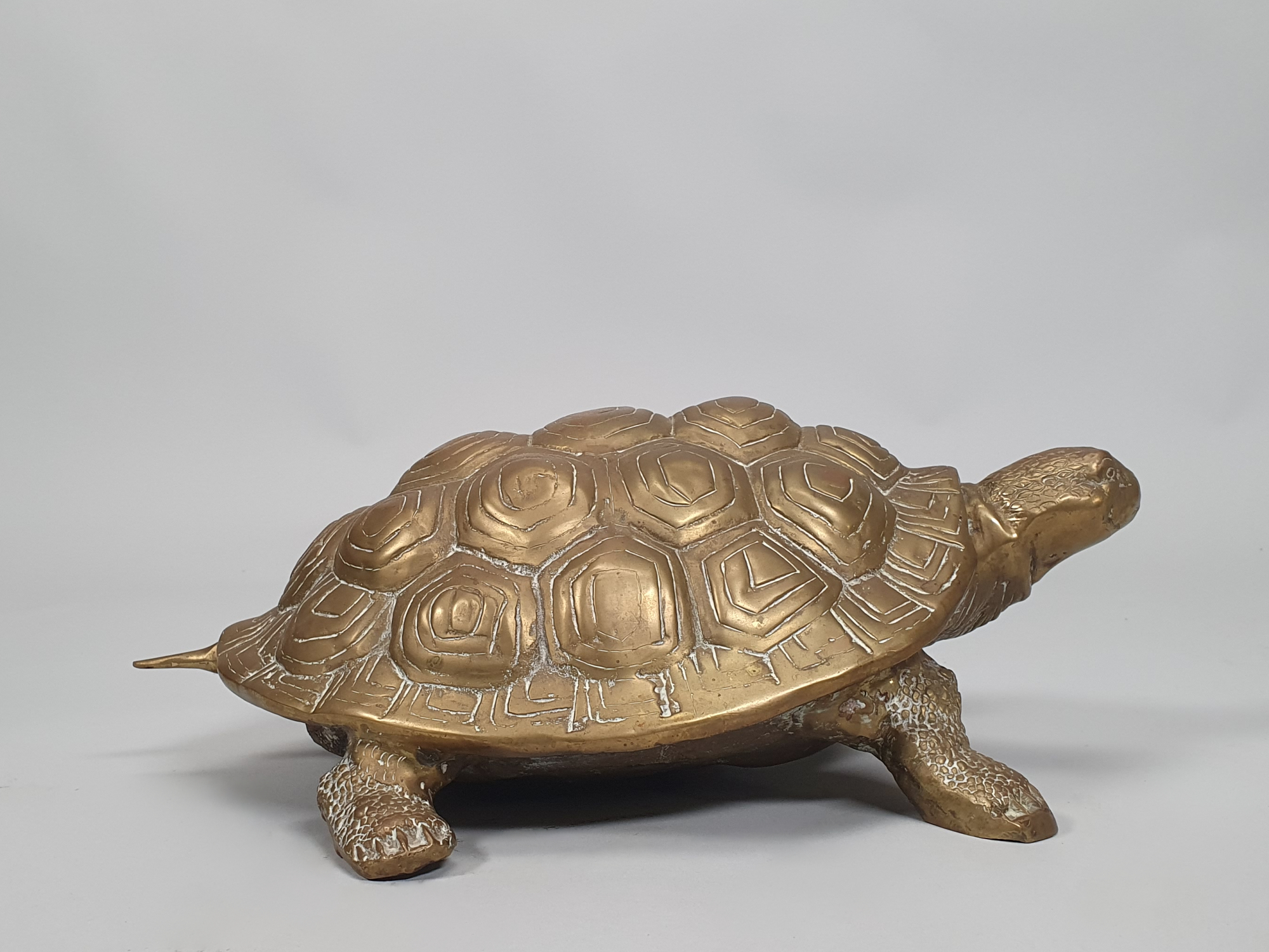 Antique Large Brass Tortoise Ornament, Naturalistic Detail, mid century