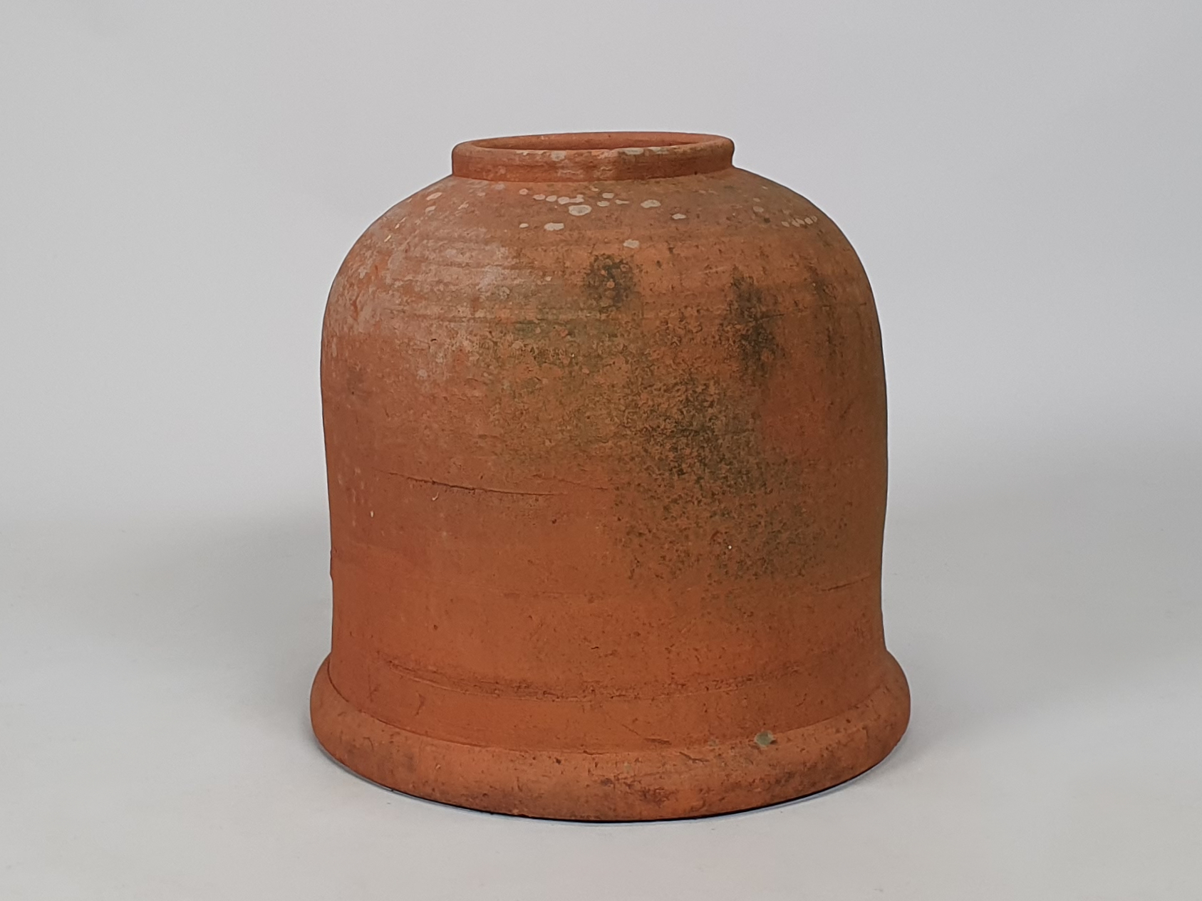 Antique Terracotta Rhubarb Forcer, English, Late 1900s