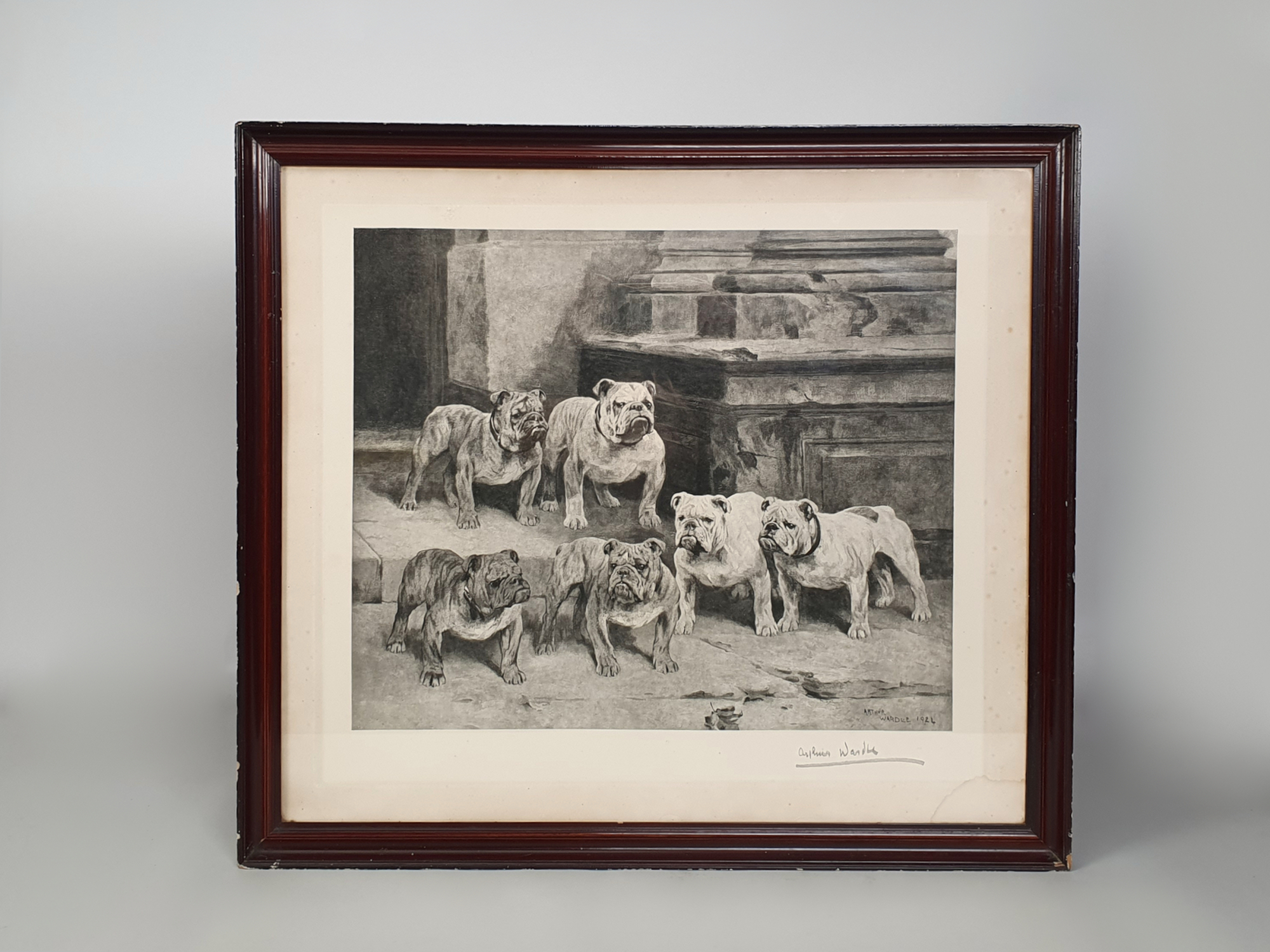 Arthur Wardle signed black and white print of Bulldogs, dated 1924.