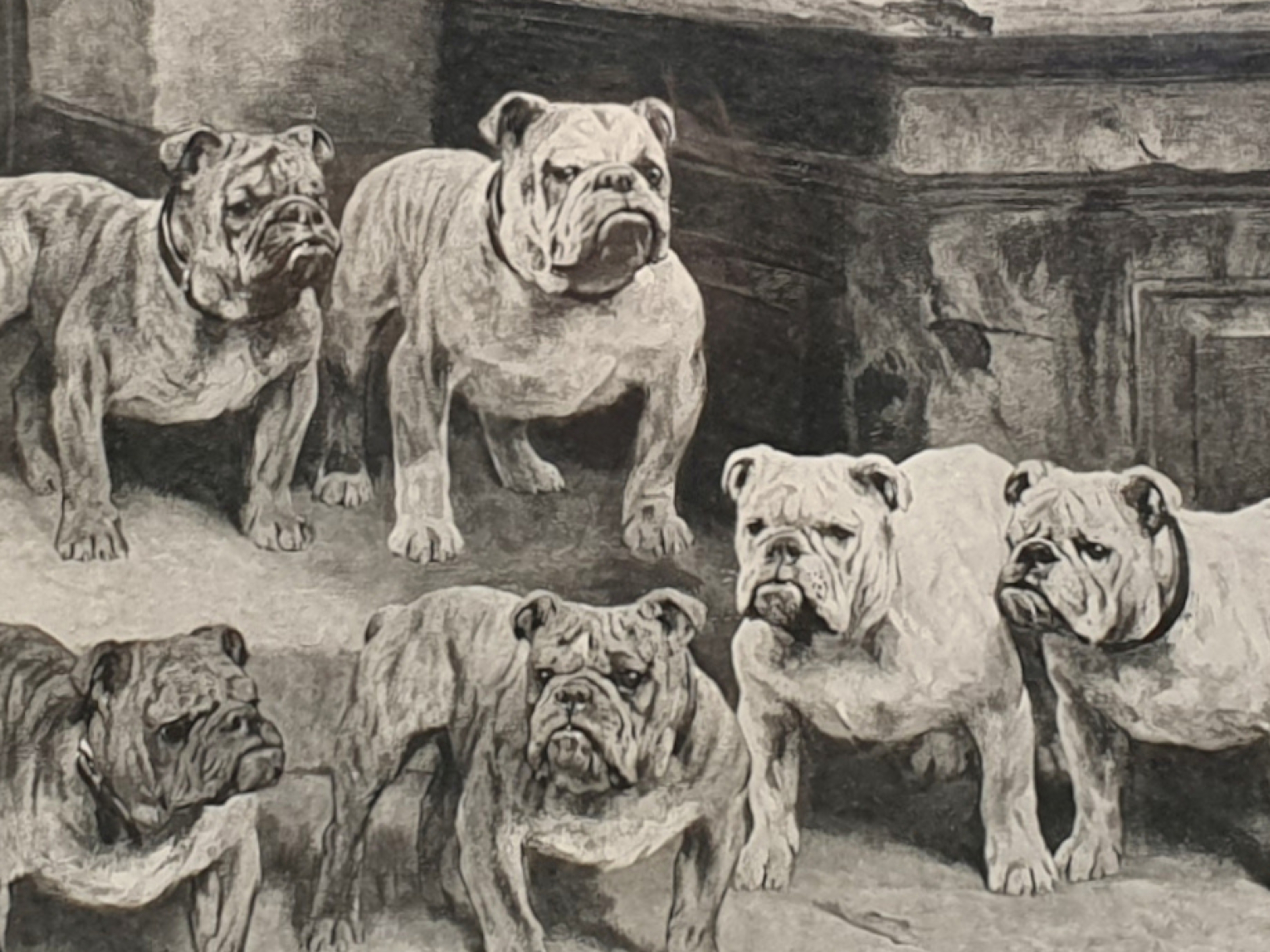 Arthur Wardle signed black and white Bulldogs close up