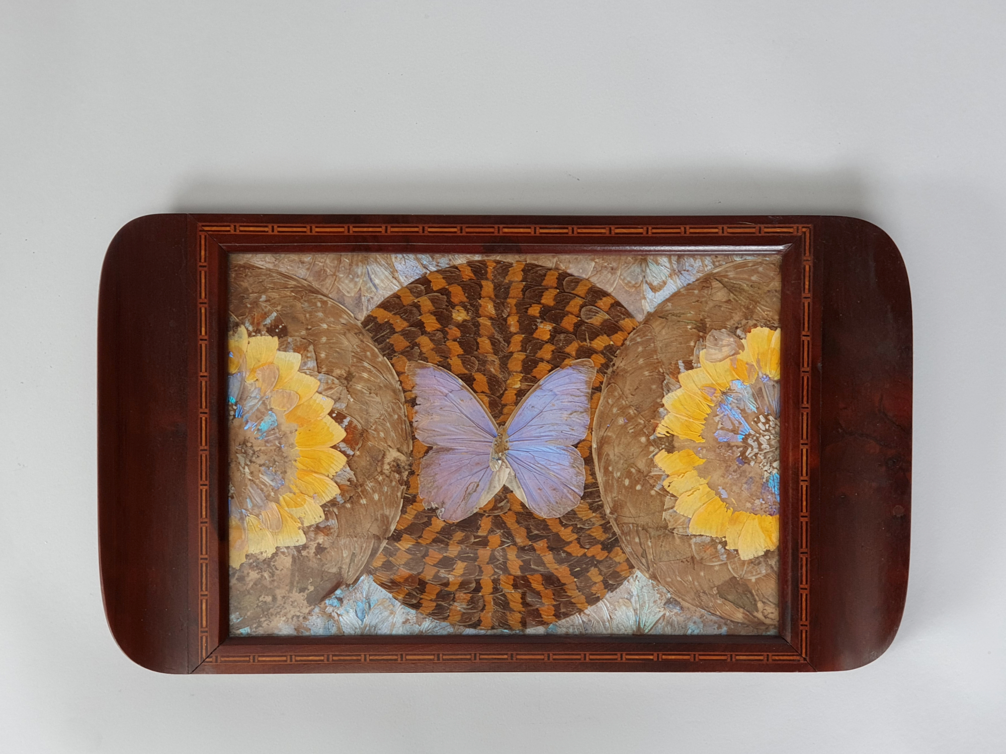 Decorative antique Brazilian Butterfly Tray