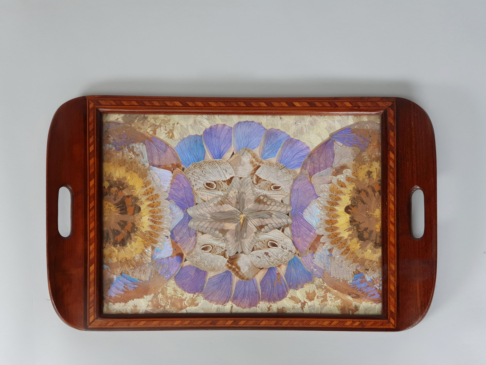 Decorative antique Brazilian Butterfly Tray