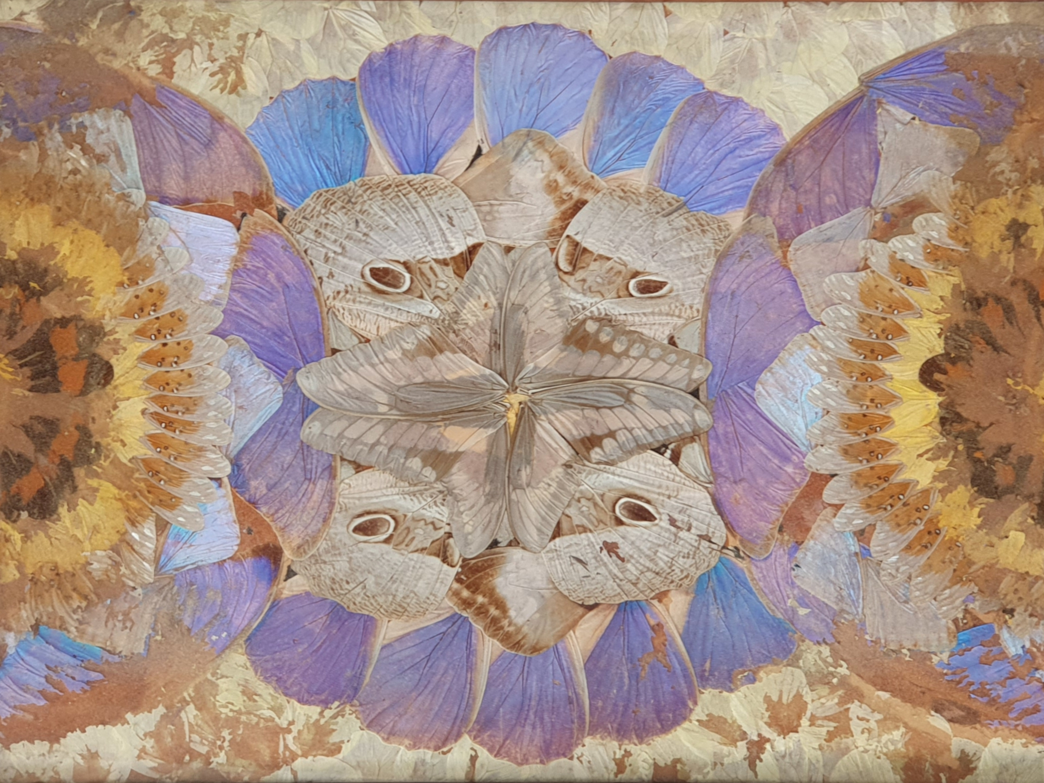 Decorative antique Brazilian Butterfly Tray close detail