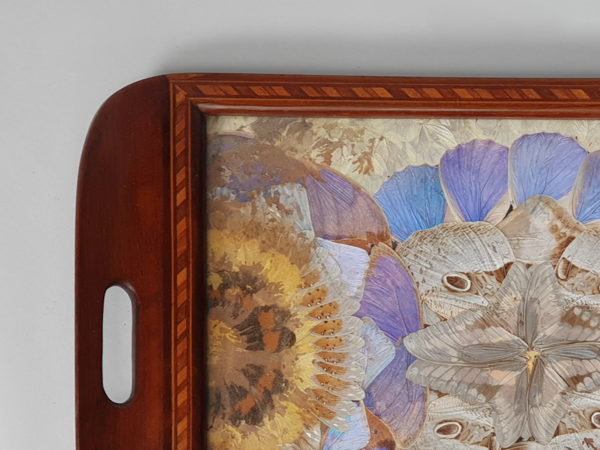 Decorative antique Brazilian Butterfly Tray showing mahogany edge