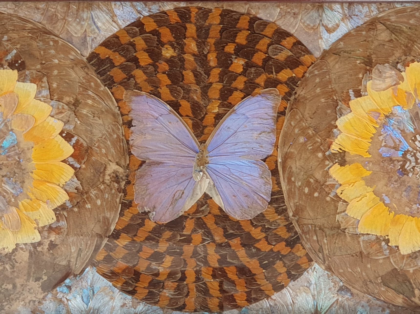 Decorative antique Brazilian Butterfly Tray close detail