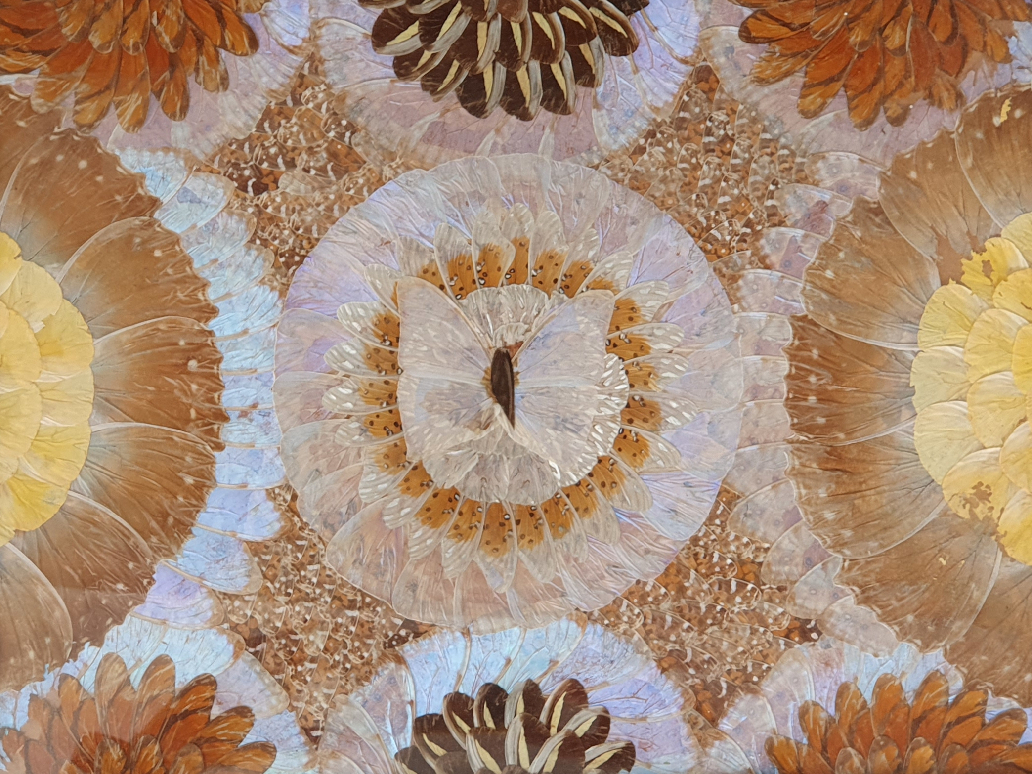 Decorative antique Brazilian Butterfly Tray close detail