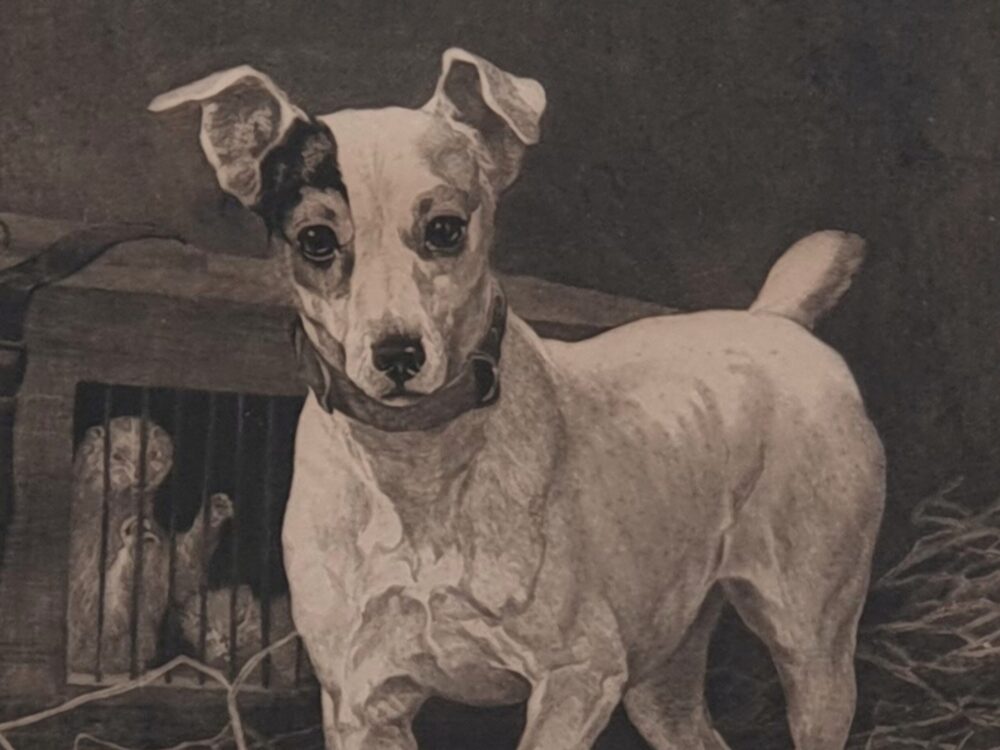 Decorative antique Terrier Dog charcoal Drawing