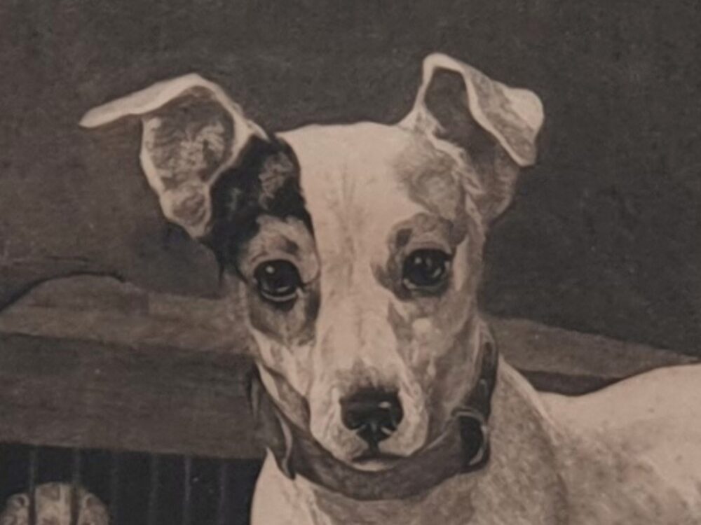 Decorative antique Terrier Dog charcoal Drawing