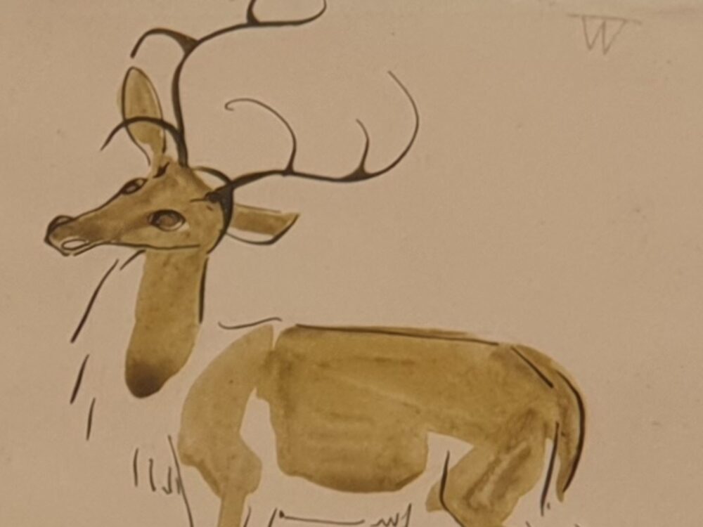 Decorative antique watercolour of an Antelope