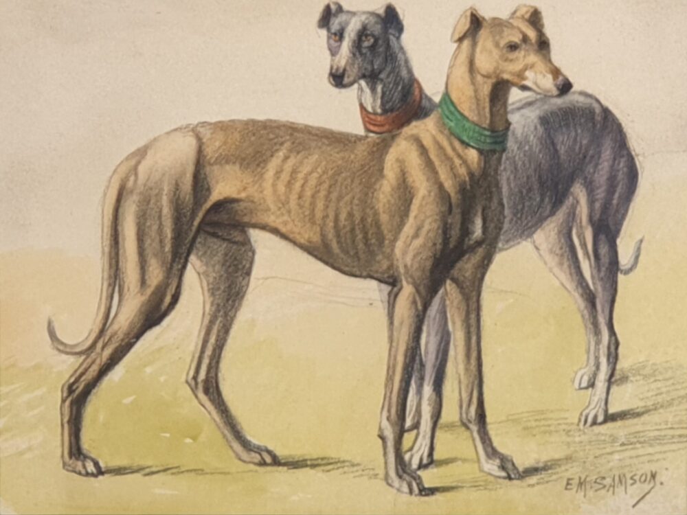 Decorative antique watercolour - Two Greyhounds by E M Samson