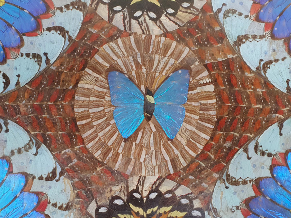Decorative mid century antique Brazilian Butterfly Tray