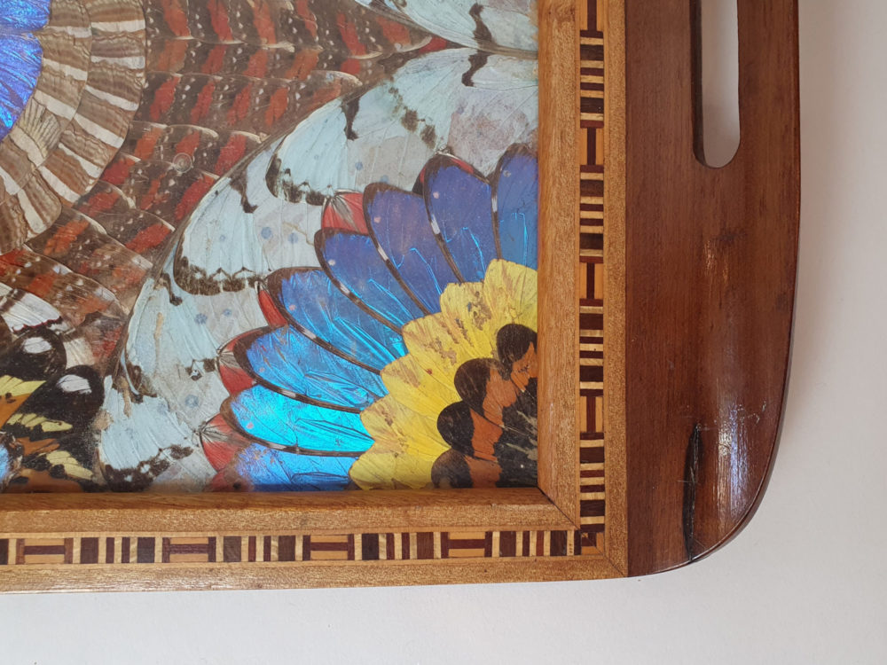 Decorative mid century antique Brazilian Butterfly Tray