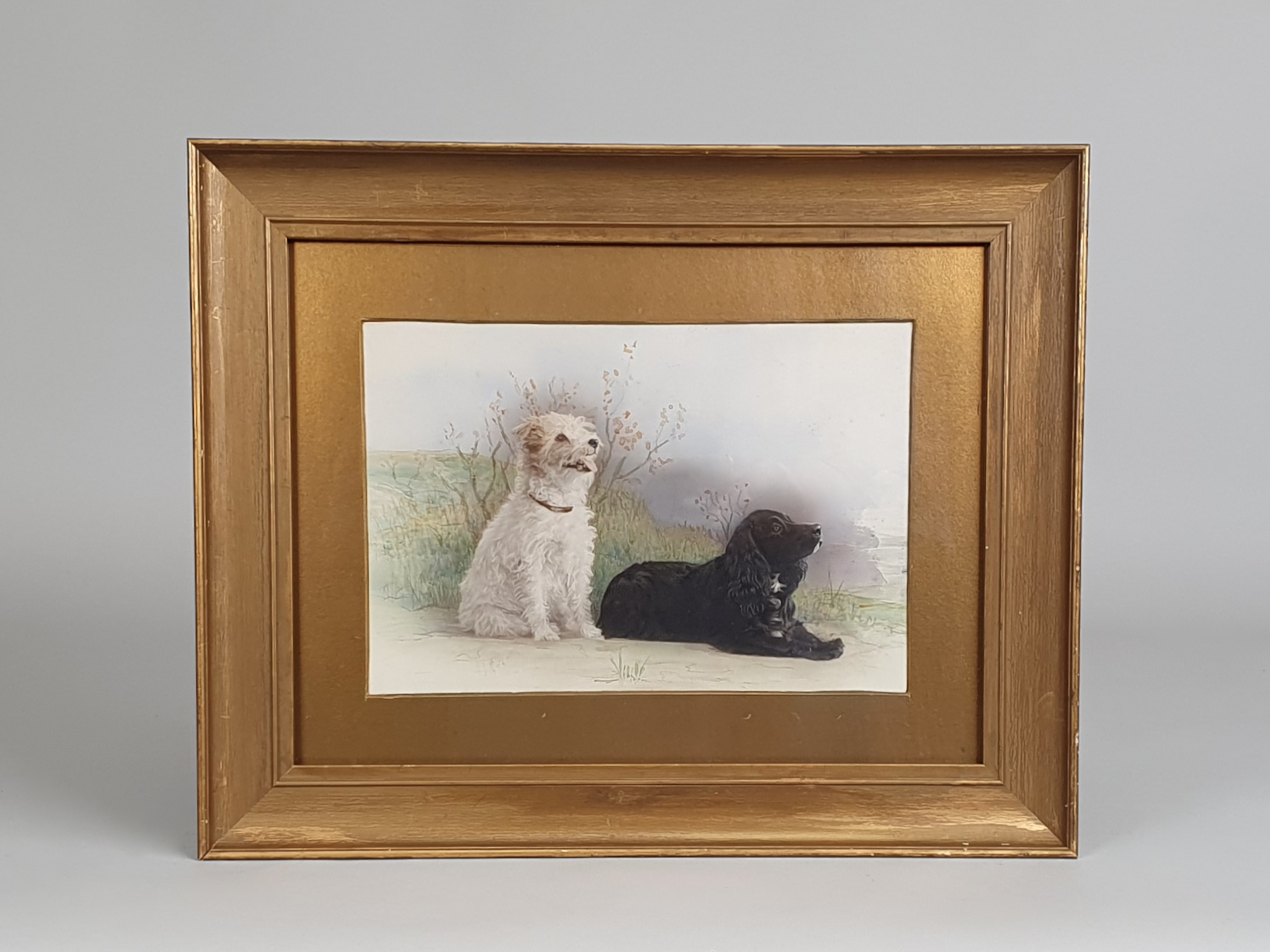 English antique early 1900s watercolour Painting of Two Dogs