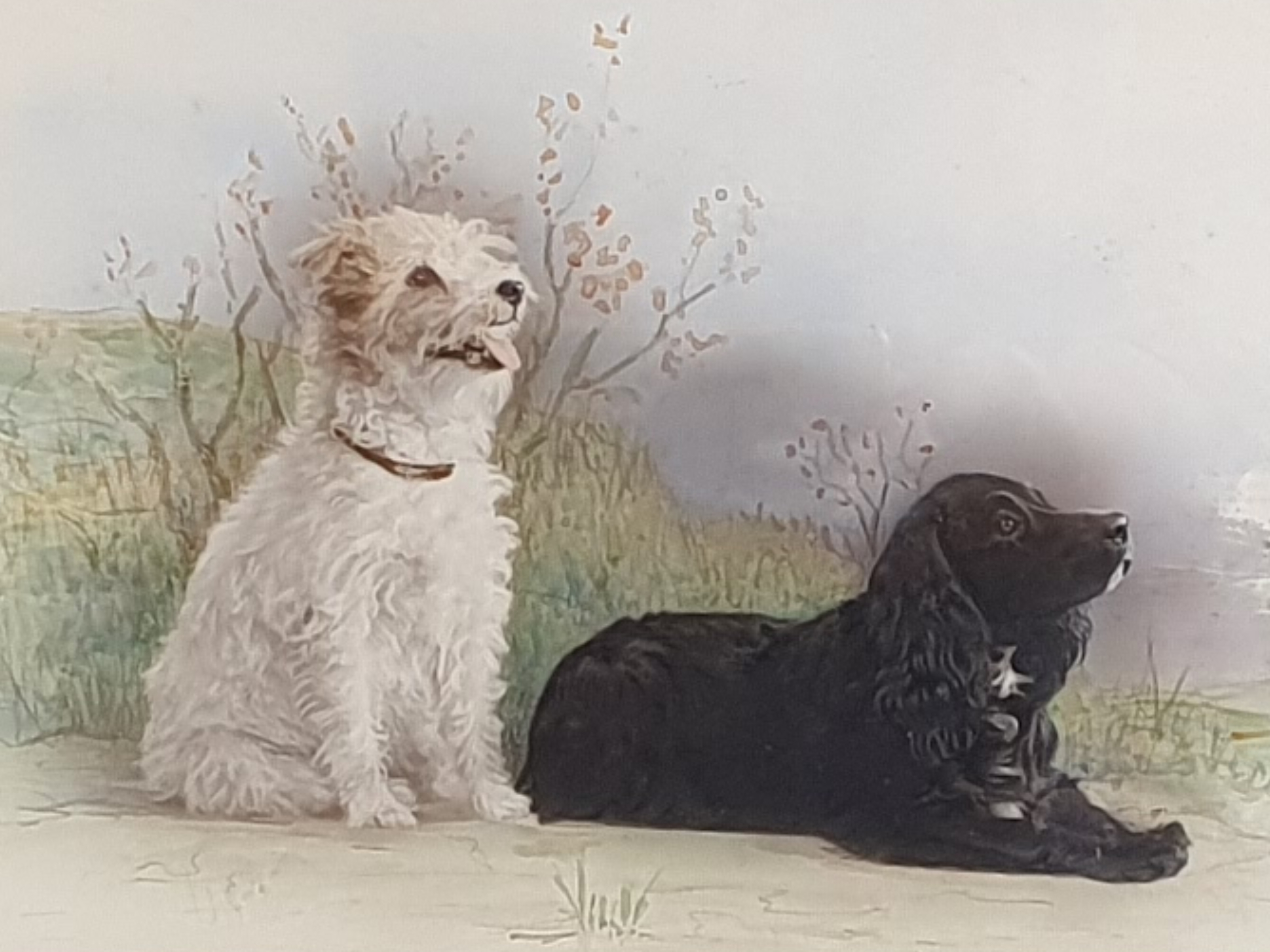 English antique early 1900s watercolour Painting of Two Dogs wide shot