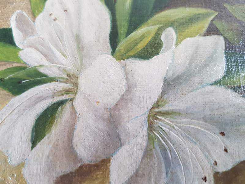 Floral Still Life