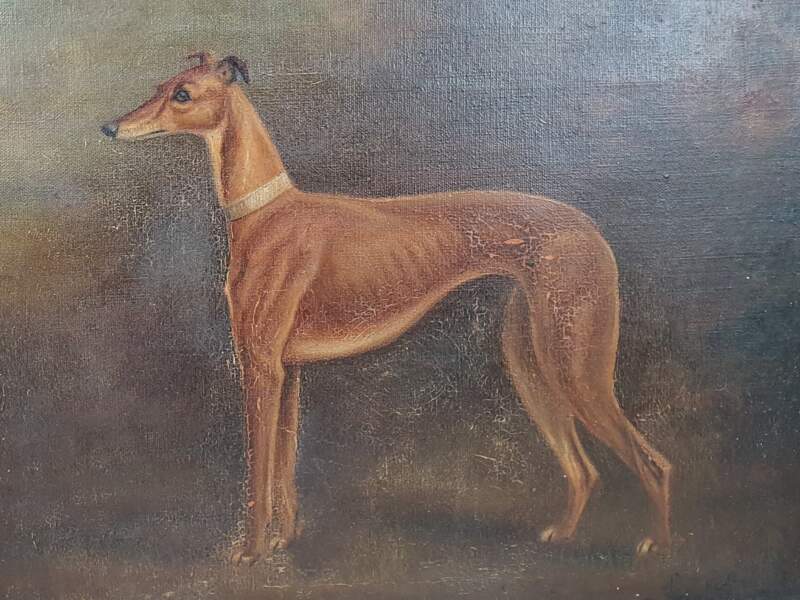 Greyhound oil on canvas, Herbert St John Jones