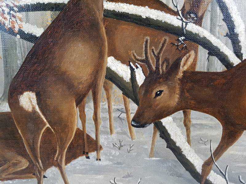 Herd of Deers