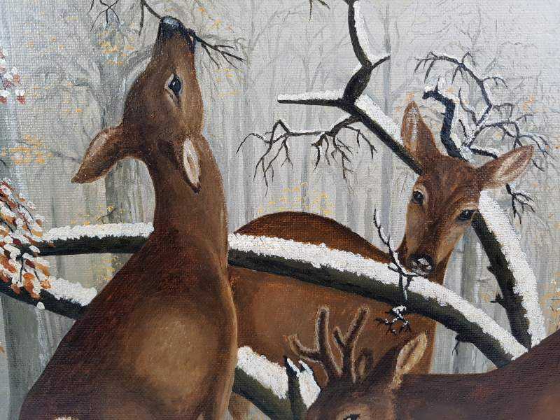 Herd of Deers