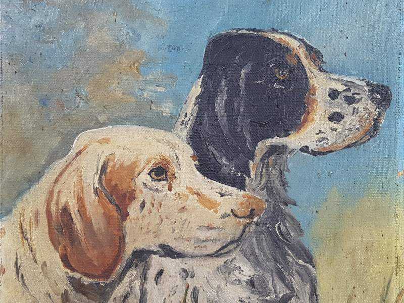 Hounds