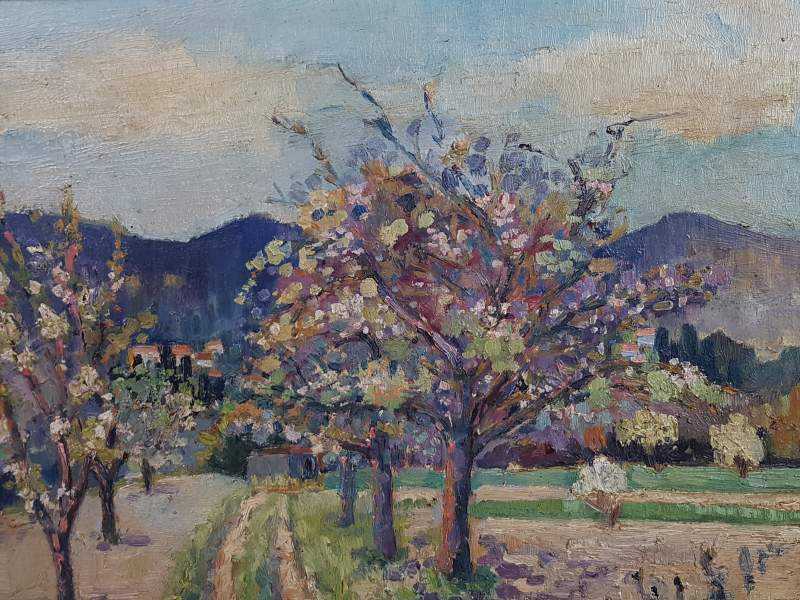 Landscape