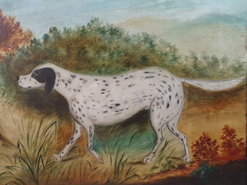 Naive Victorian Pointer Dog