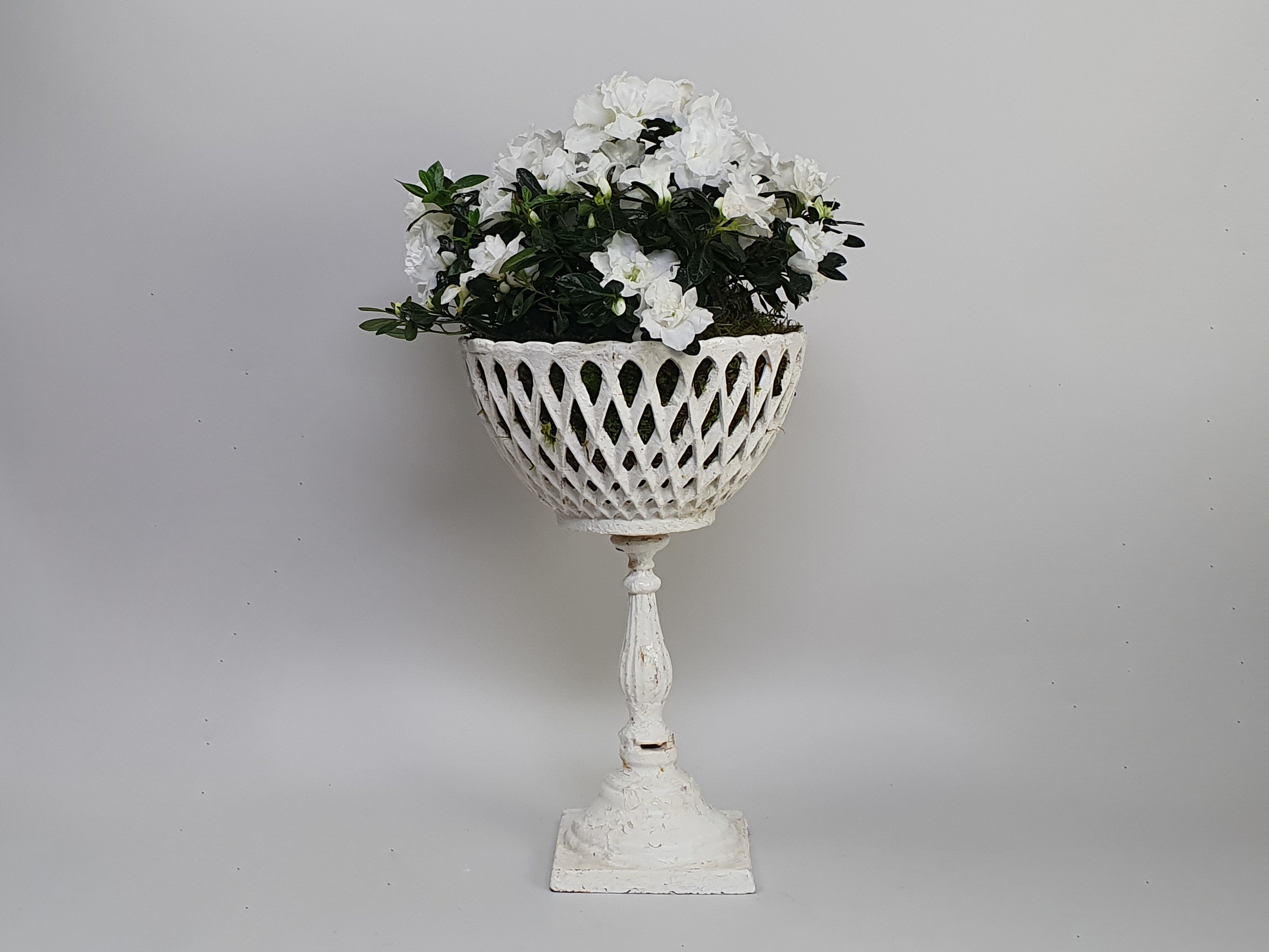 antique garden urns wide shot