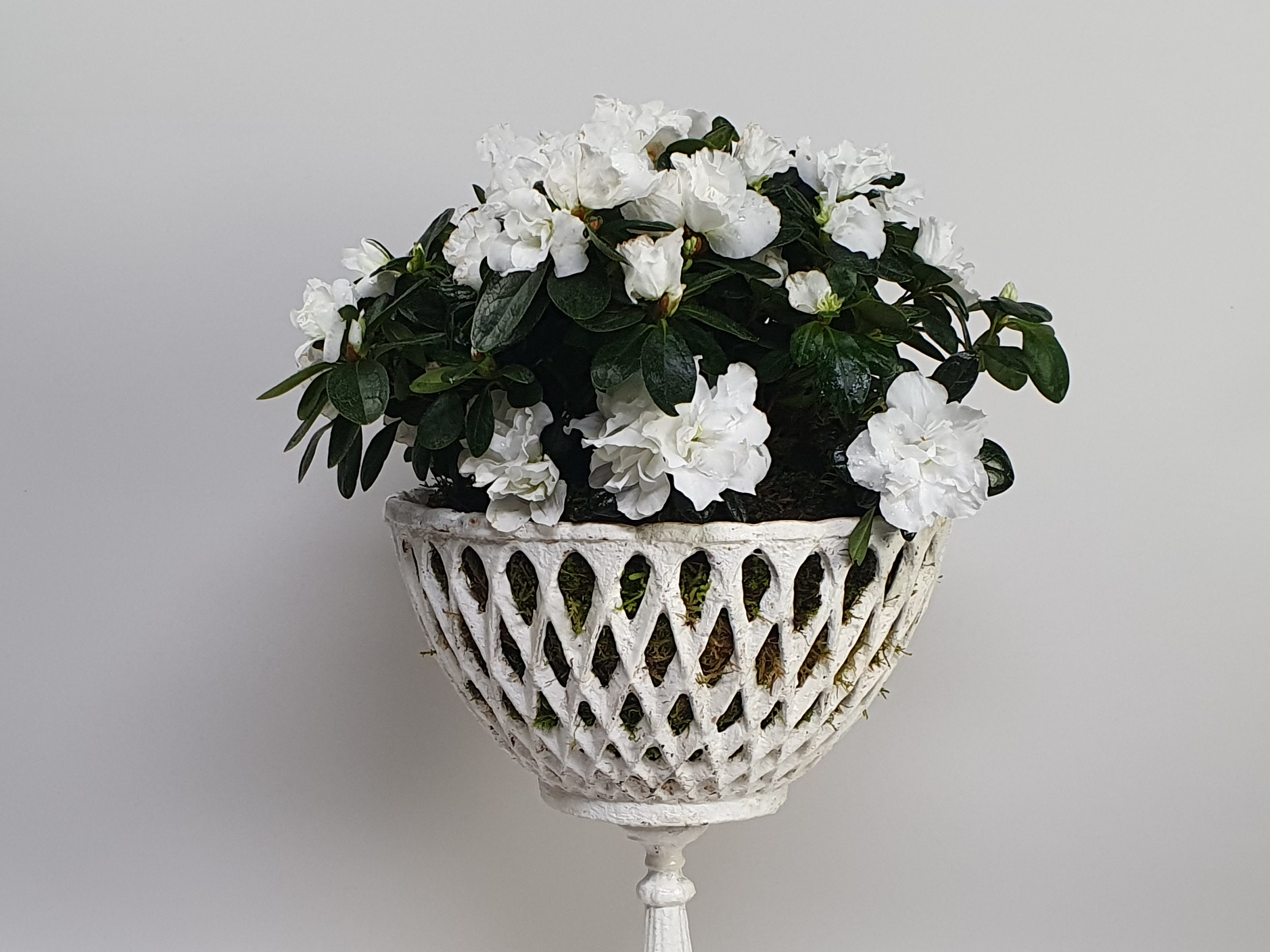 antique garden urns close up