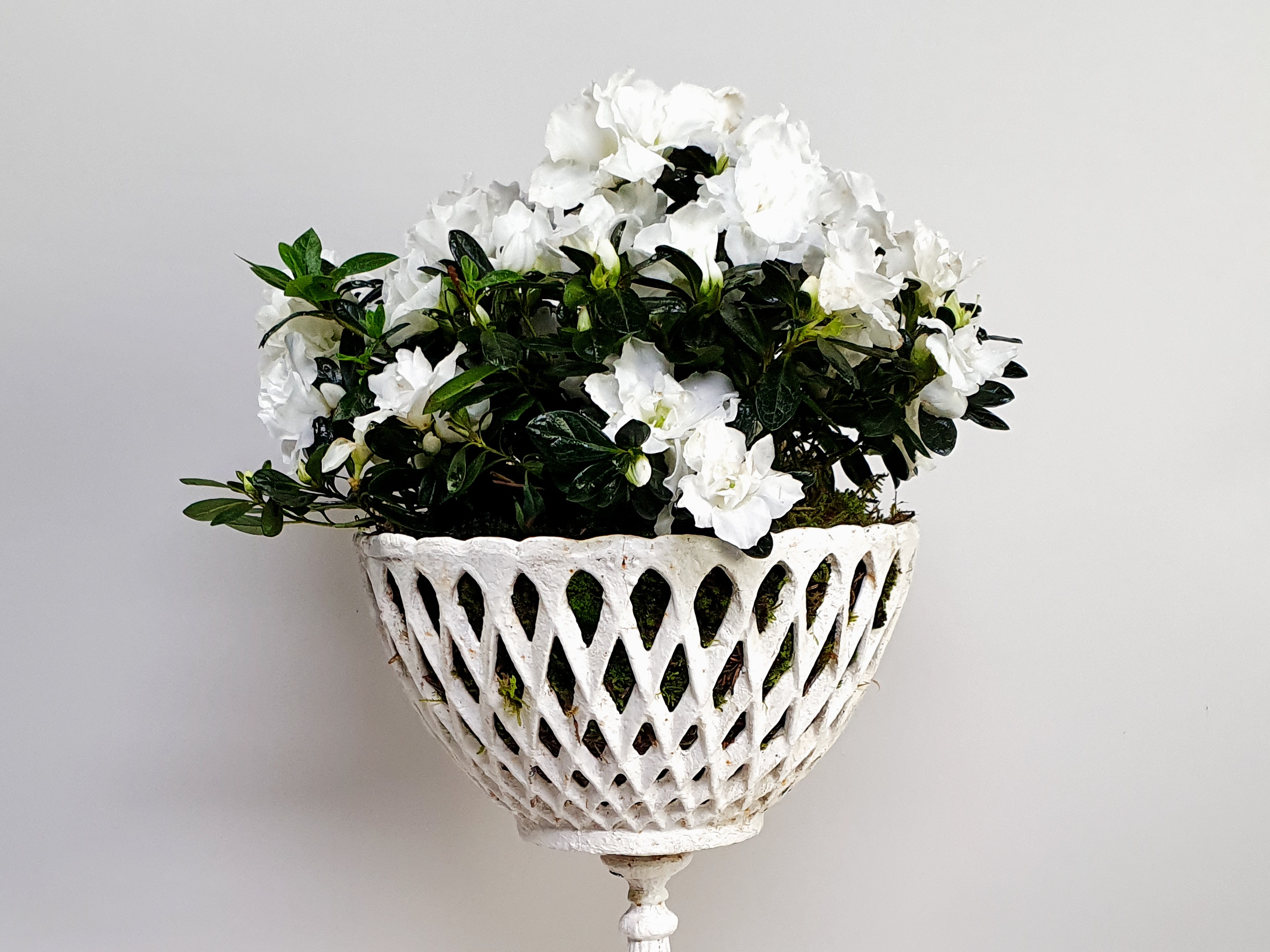 antique garden urns close up