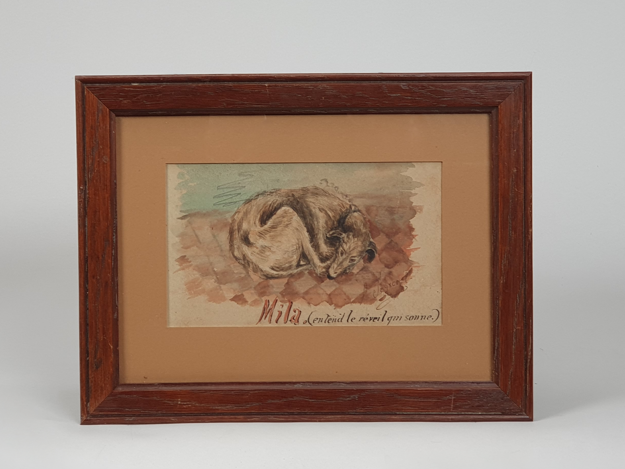 antique French Watercolours of a lurcher sleeping