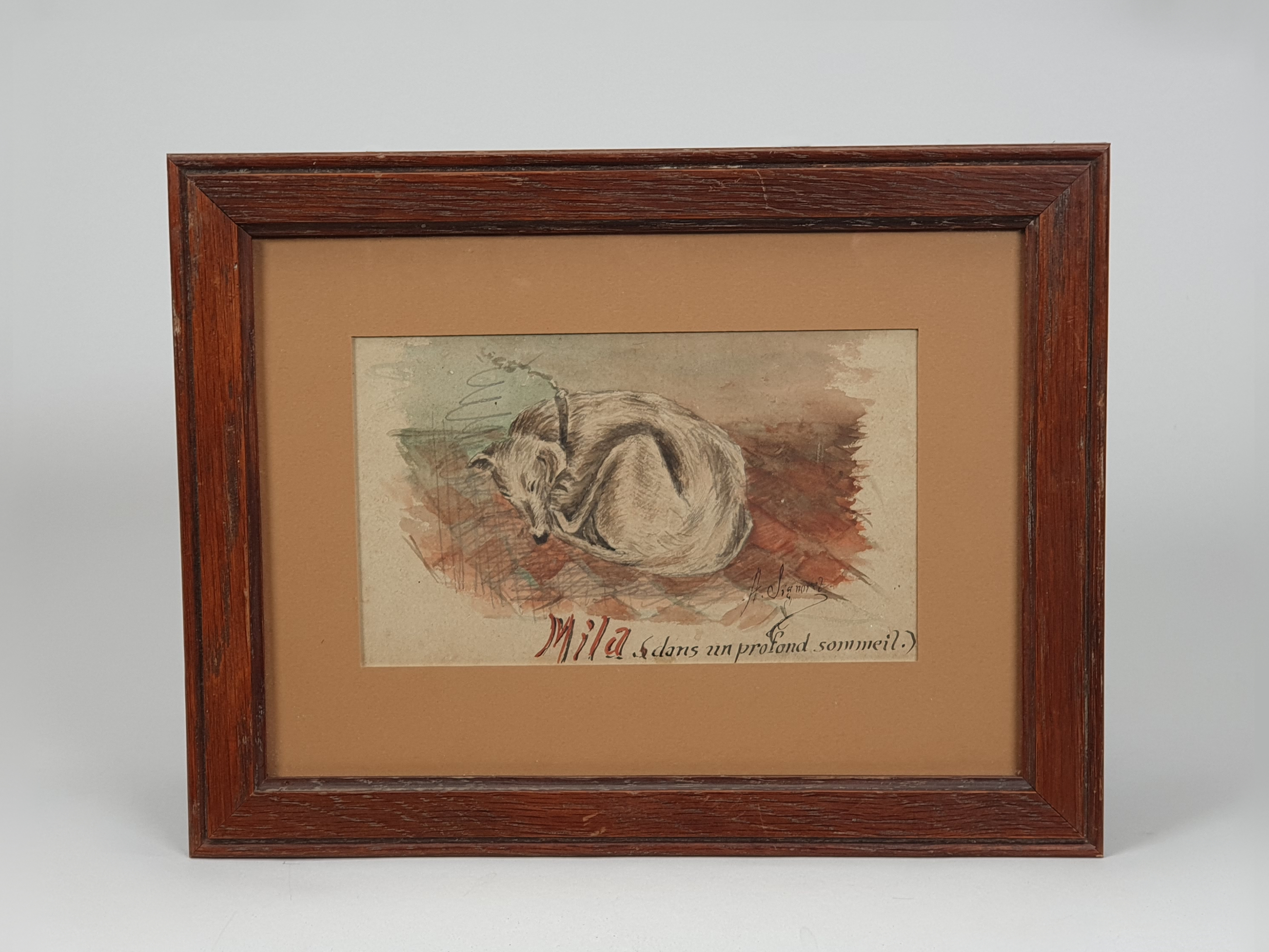 antique French Watercolours of a lurcher sleeping