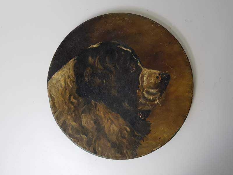 Pair of Dogs